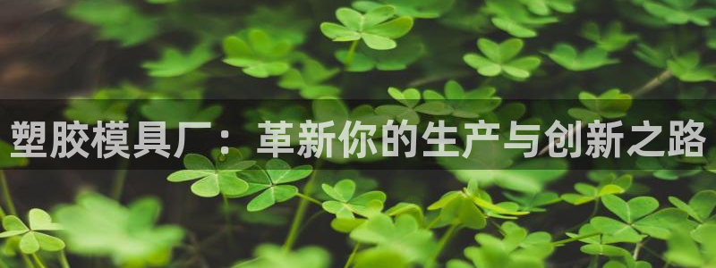 太阳成集团老板照片：塑胶模具厂：革新你的生产与创新之路