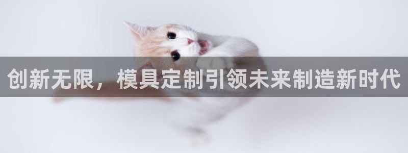 太阳影视公司：创新无限，模具定制引领未来制造新时代