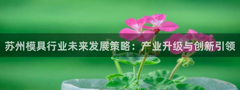 太阳gg平台地址：苏州模具行业未来发展策略：产业升级与创新引领