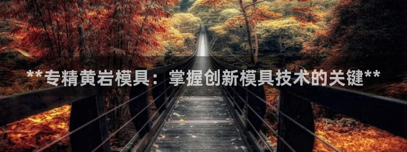 太阳 官网：**专精黄岩模具：掌握创新模具技术的关键**