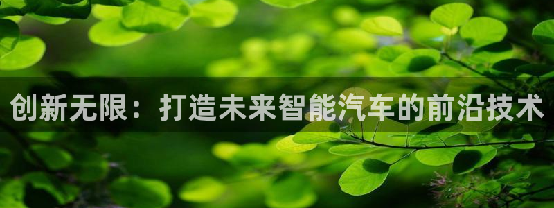 2018太阳集团游戏网站：创新无限：打造未来智能汽车的前沿技术