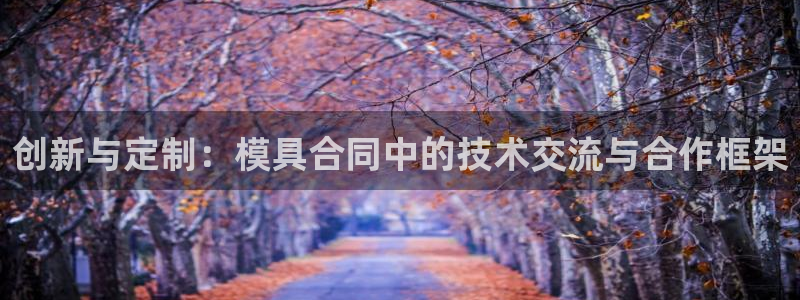 太阳集团app十佳平台怎么样：创新与定制：模具合同中的技术交流与合作框架