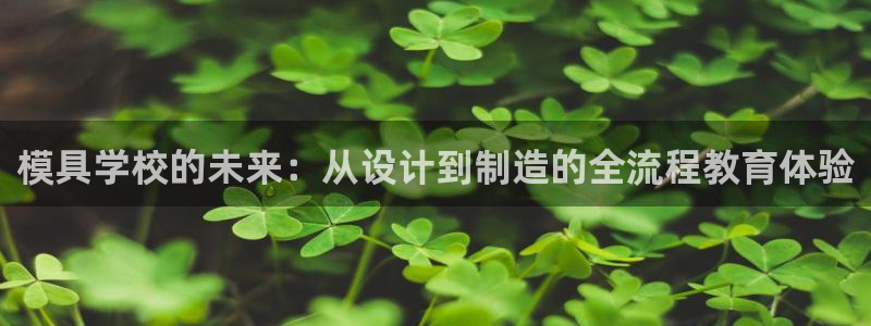 太阳集团下载链接：模具学校的未来：从设计到制造的全流程教育体验