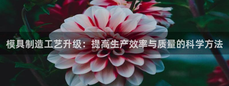 太阳成集团的官方网站：模具制造工艺升级：提高生产效率与质量的科学方法