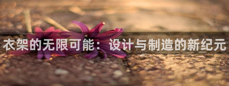 太阳集团在哪里：衣架的无限可能：设计与制造的新纪元