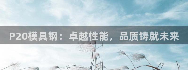 太阳成集团电影：P20模具钢：卓越性能，品质铸就未来
