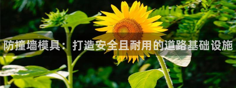 太阳app官方下载：防撞墙模具：打造安全且耐用的道路基础设施