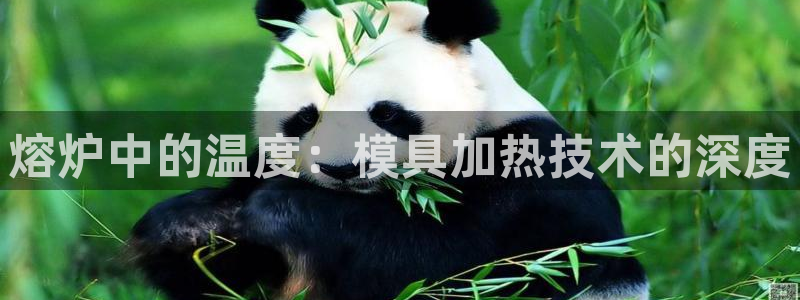 太阳集团app十佳平台怎么样：熔炉中的温度：模具加热技术的深度