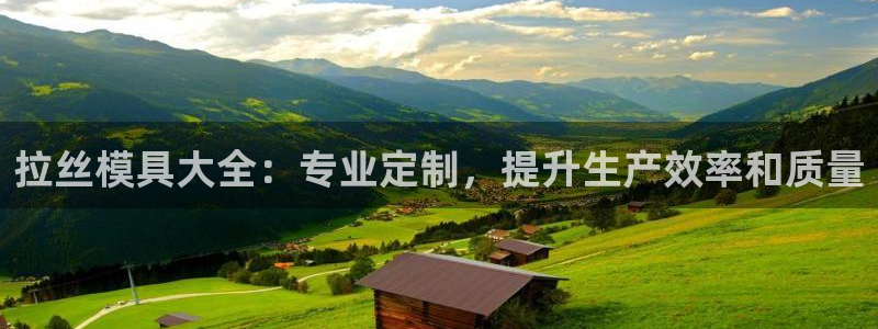 太阳集团城娱6543官网：拉丝模具大全：专业定制，提升生产效率和质量