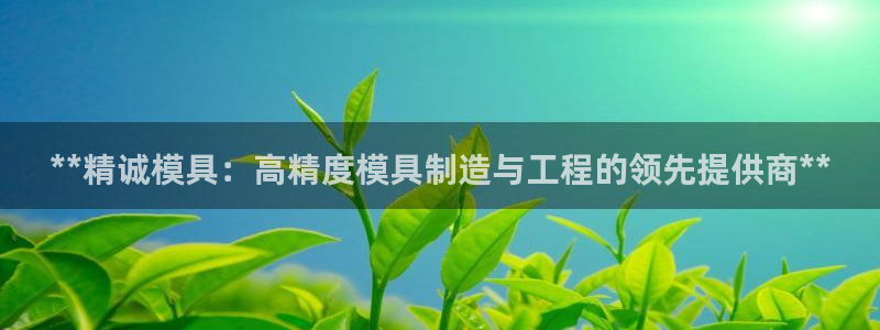 太阳app下载安装：**精诚模具：高精度模具制造与工程的领先提供商**
