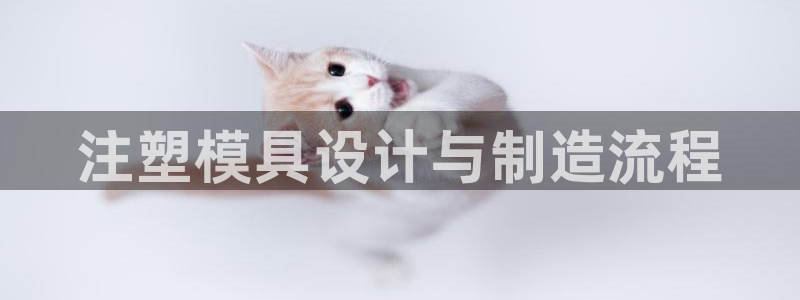 太阳集团城2017网站：注塑模具设计与制造流程