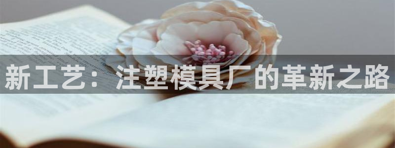 太阳集团网站古天乐代言的：新工艺：注塑模具厂的革新之路