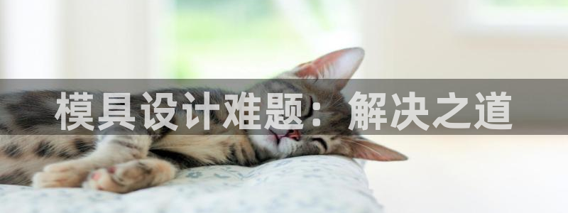 太阳成集团tyc234cc集团产业：模具设计难题：解决之道