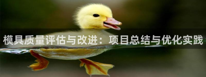 古天乐只有太阳能黑：模具质量评估与改进：项目总结与优化实践