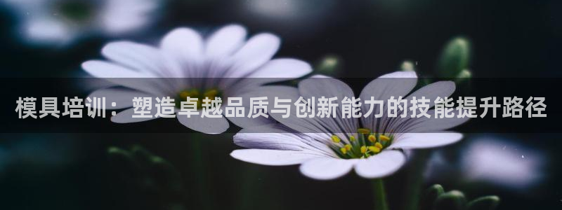 太阳成娱乐集团