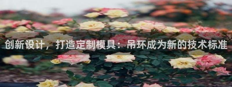 太阳gg注册登录：创新设计，打造定制模具：吊环成为新的技术标准