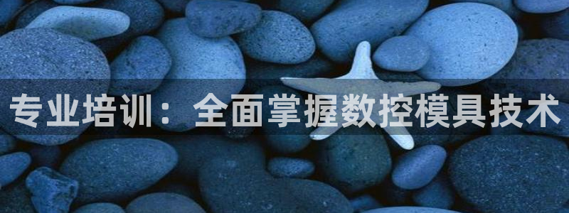 太阳gg登陆测试：专业培训：全面掌握数控模具技术