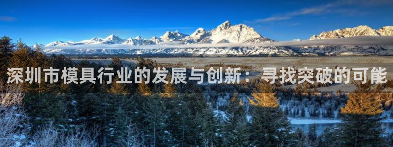 太阳诚集团视频：深圳市模具行业的发展与创新：寻找突破的可能