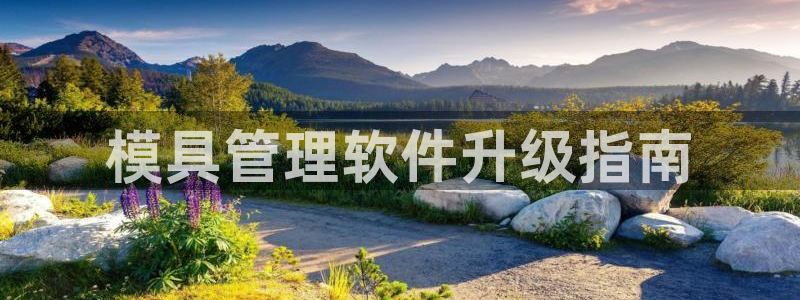 太阳科技集团：模具管理软件升级指南