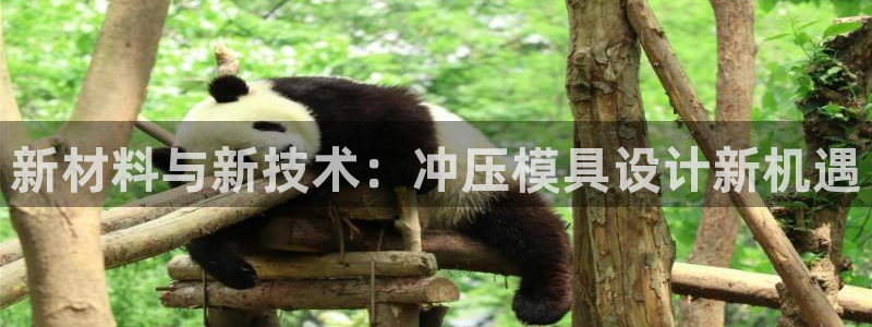 太阳集团娱乐官方网站：新材料与新技术：冲压模具设计新机遇