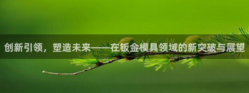 太阳集团app十佳平台怎么样：创新引领，塑造未来——在钣金模