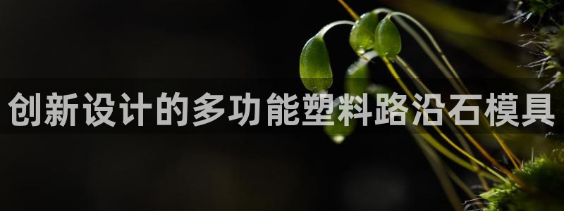 太阳集团游戏城旧版1382