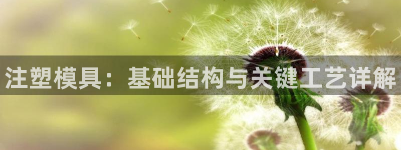 太阳集团入口官网网址：注塑模具：基础结构与关键工艺详解