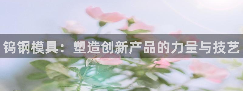 太阳集团地址：钨钢模具：塑造创新产品的力量与技艺