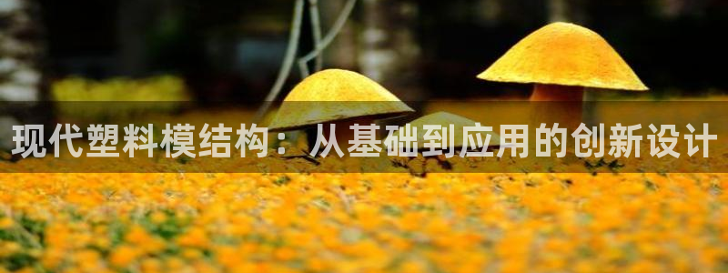 古天乐太阳集团城app：现代塑料模结构：从基础到应用的创新设计