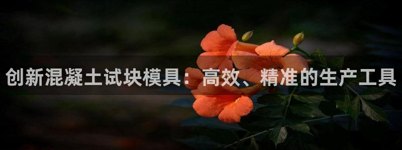 太阳科技集团：创新混凝土试块模具：高效、精准的生产工具