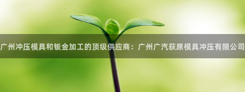 古天乐太阳网城：广州冲压模具和钣金加工的顶级供应商：广州广汽荻原模具冲压有限公司