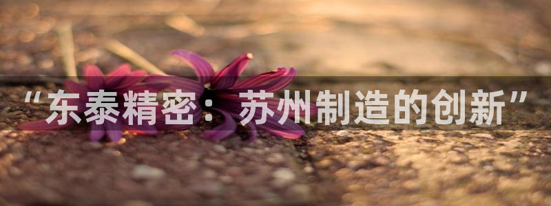 太阳集团是什么：“东泰精密：苏州制造的创新”