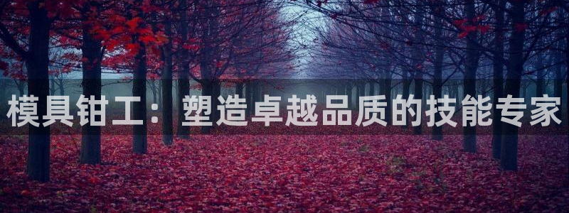 太阳c集团：模具钳工：塑造卓越品质的技能专家