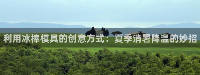 太阳集团主要是做什么的