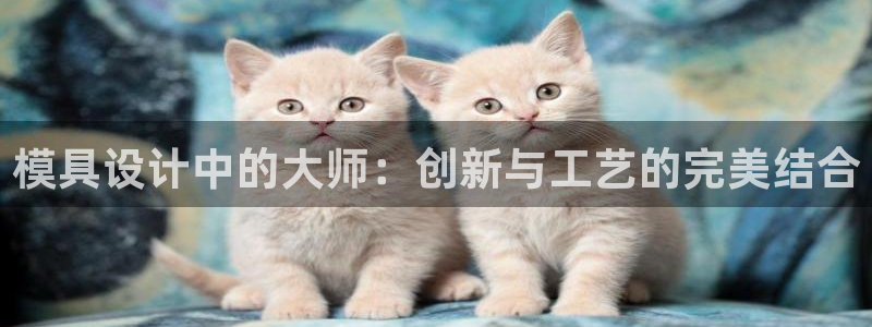 太阳集团tcy8722电子游戏：模具设计中的大师：创新与工艺的完美结合