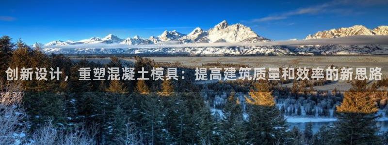 太阳贵宾城：创新设计，重塑混凝土模具：提高建筑质量和效率的新思路