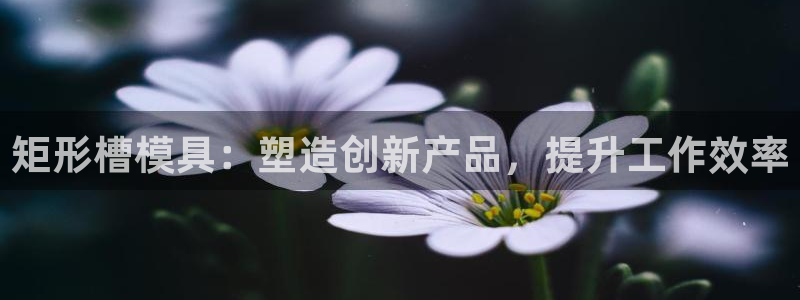 太阳影业投资：矩形槽模具：塑造创新产品，提升工作效率