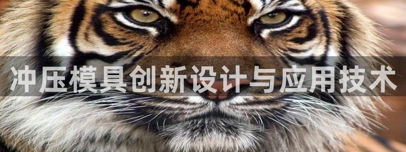 太阳诚集团有限公司