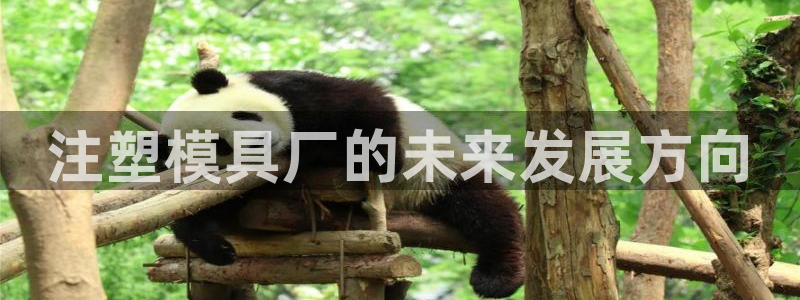 太阳集团app十佳平台怎么样：注塑模具厂的未来发展方向