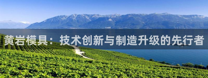 太阳集团网站入口官网首页：黄岩模具：技术创新与制造升级的先行者