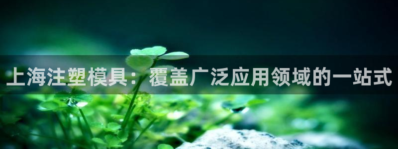 太阳集团电子游戏宙斯：上海注塑模具：覆盖广泛应用领域的一站式