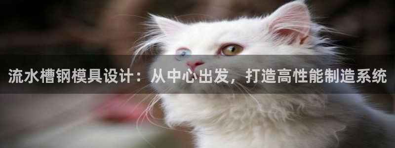 太阳成集团tyc234cc