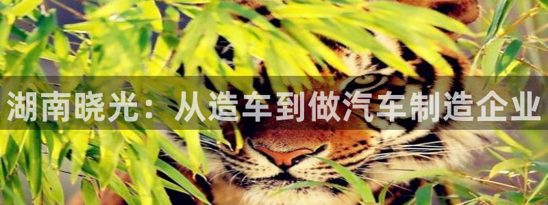 太阳成集团tyc9728