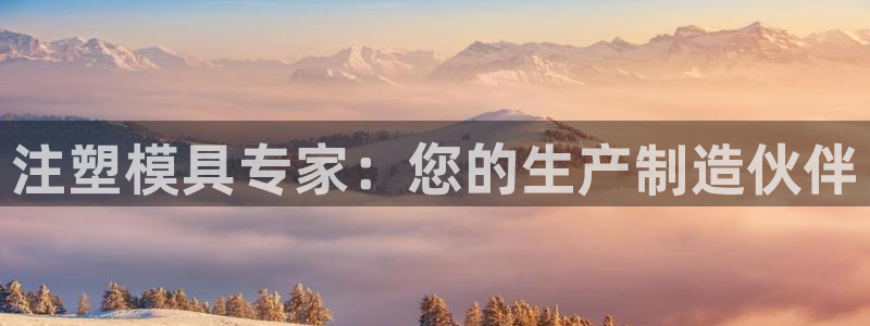 太阳集团是怎样一个公司：注塑模具专家：您的生产制造伙伴