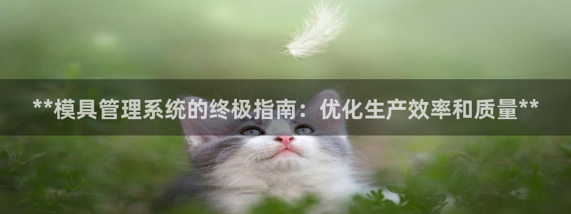 太阳股份有限公司：**模具管理系统的终极指南：优化生产效率和质量**