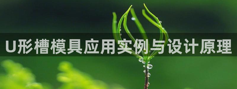 高淳红太阳集团