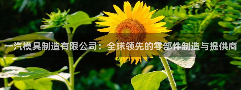 太阳成集团网站005