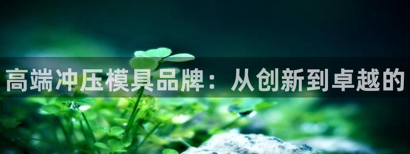 太阳gg登陆测试：高端冲压模具品牌：从创新到卓越的