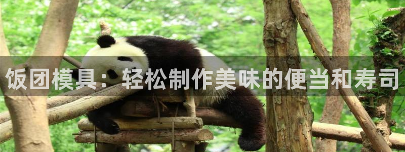 太阳成集团tyc234cc[主页]振：饭团模具：轻松制作美味的便当和寿司