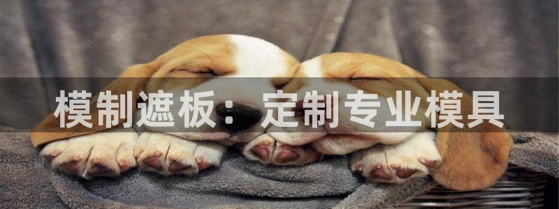 太阳成集团tyc7111cc电影：模制遮板：定制专业模具